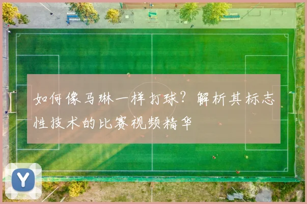 如何像马琳一样打球？解析其标志性技术的比赛视频精华